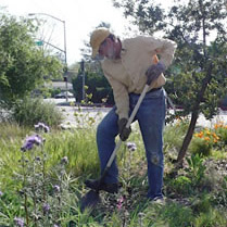 Old Marengo Park Clean-Up and Beautification