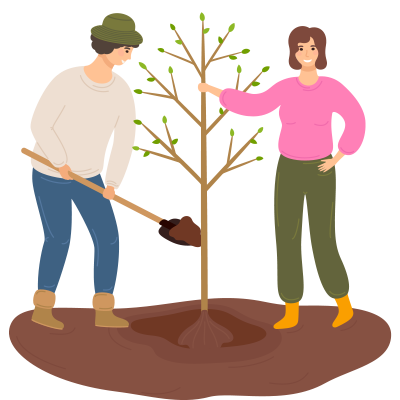 Online Tree Worksop Three