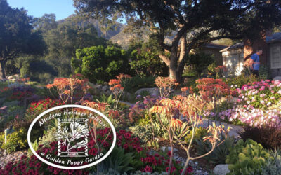Golden Poppy Award Celebration