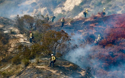 Protecting Altadena from Wildfire