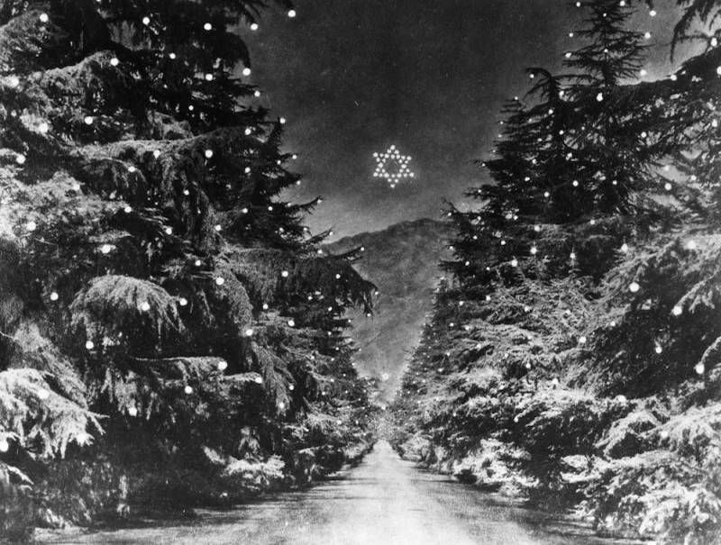 Monte Cedro & Christmas Tree Lane