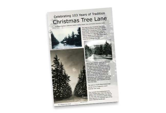 Christmas Tree Lane