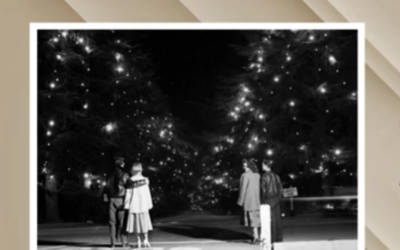 Altadena Revealed 8