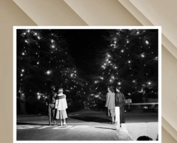 Altadena Revealed 8